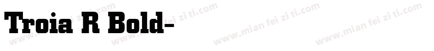 Troia R Bold字体转换